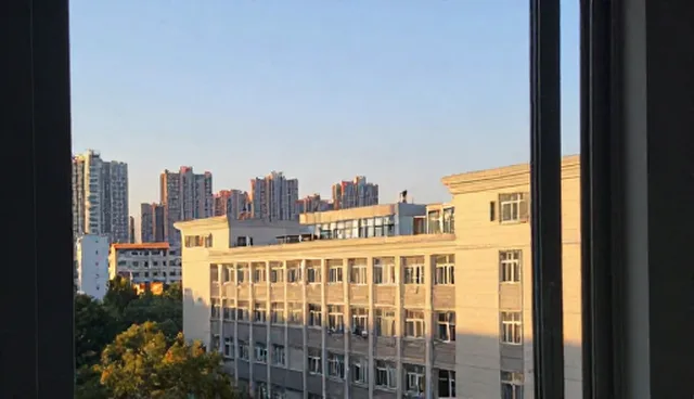 技术外包中的性能瓶颈与适用条件分析